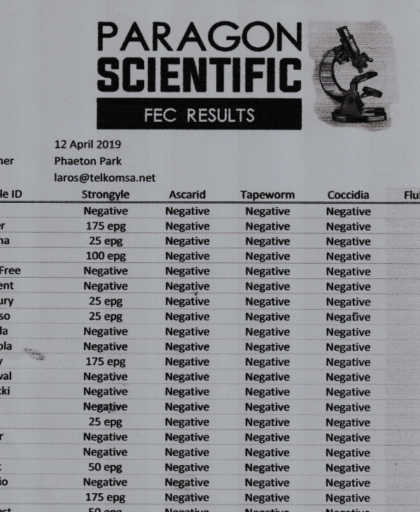 Paragon Scientific